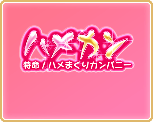 特命！ハメまくりカンパニー